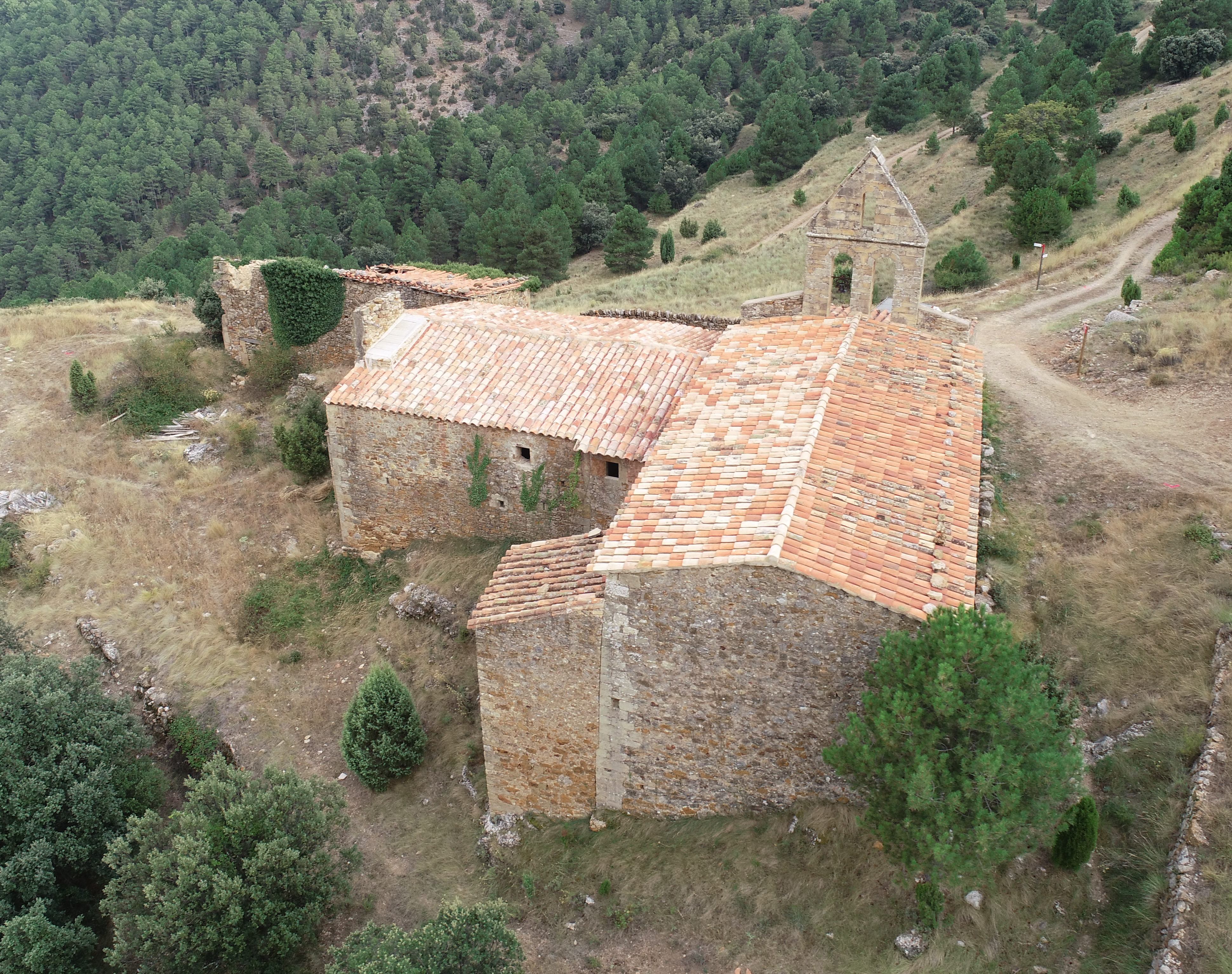 paisajismo jardín